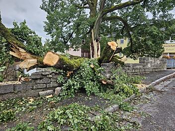Marktrodach von Unwetter gebeutelt - verwüstete Friedhöfe, umgestürzte Bäume, geschlossenes Freibad
