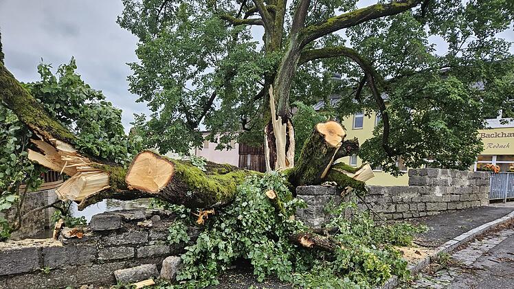 Marktrodach von Unwetter gebeutelt - verwüstete Friedhöfe, umgestürzte Bäume, geschlossenes Freibad