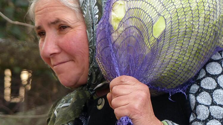 Großeinkauf: Kohl frisch vom Feld oder aus dem eigenen Garten.