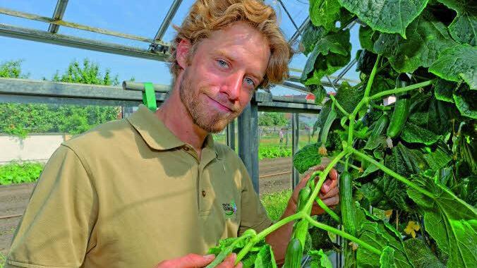 Vor über sechs Jahrhunderten begann die Geschichte von Bamberg als Stadt der Zwiebeltreter. Bio-Anbauer Sebastian Niedermaier setzt die Tradition auf zeitgemäße Weise fort. Foto: ars vivendi