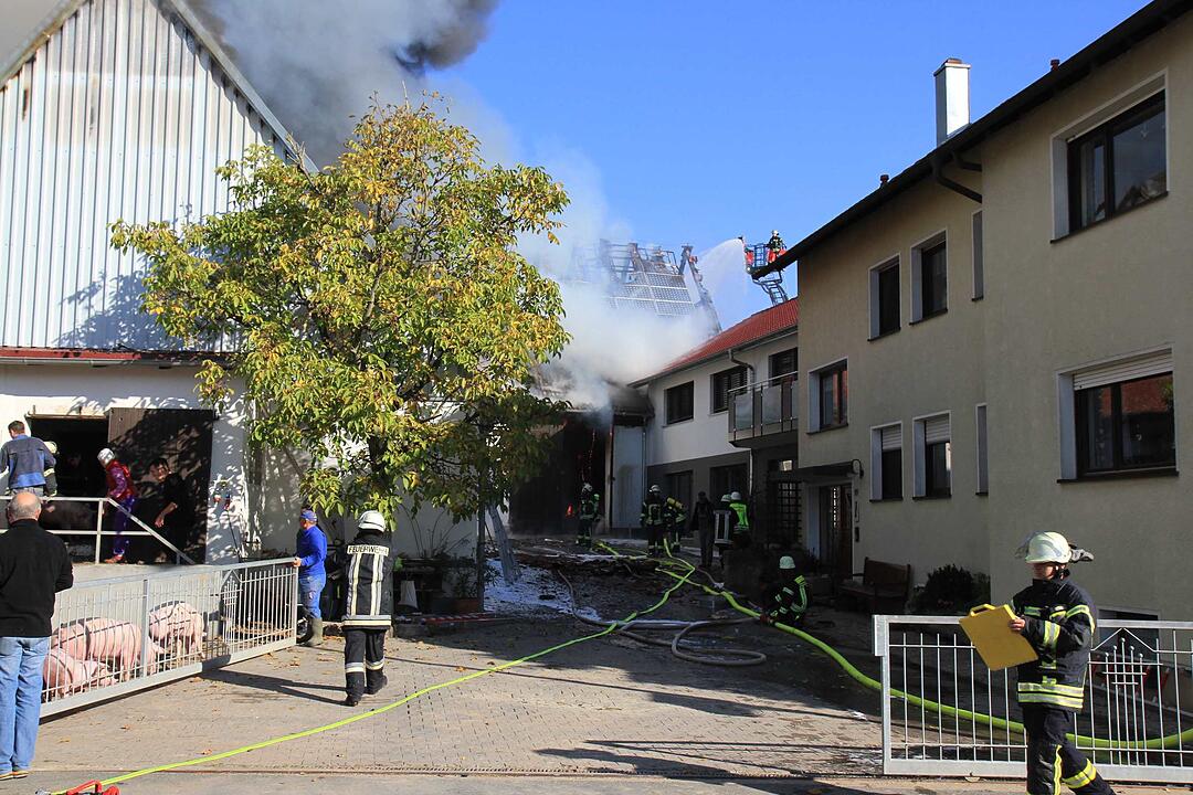 Brand in Schweinestall in Herzogenaurach