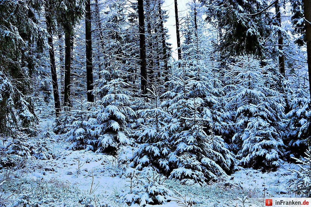 Schnee im Fichtelgebirge