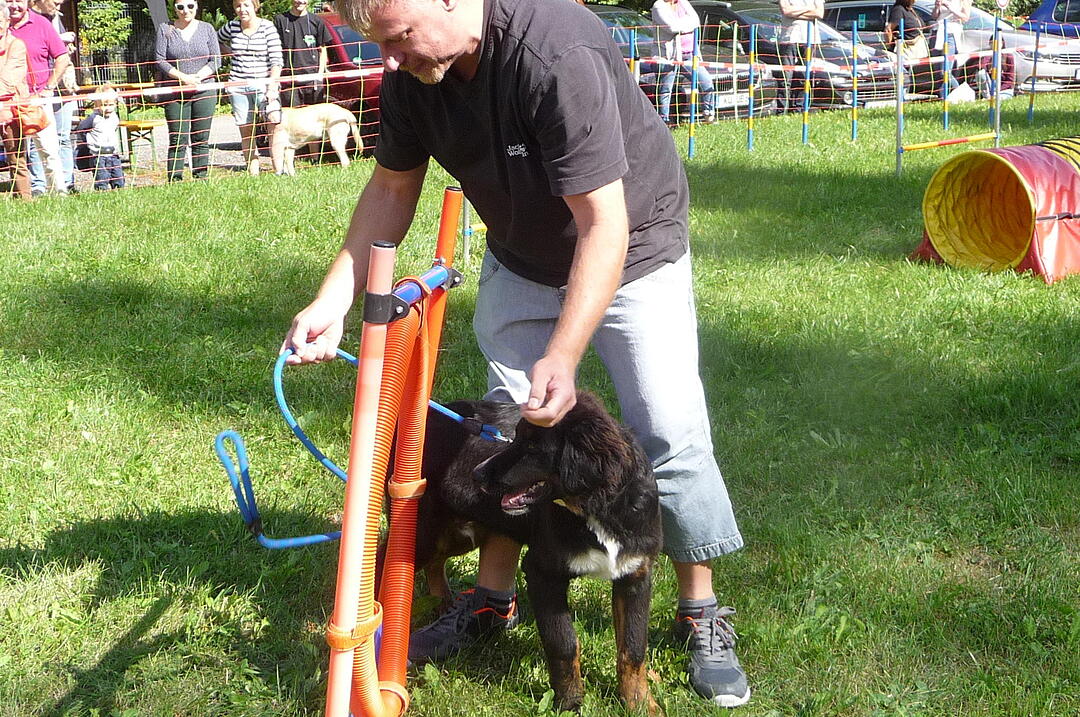 19.8.2017 Tierheimfest Kulmbach