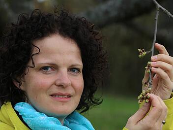 Christine Berner an einem Kirschbaum - die Knospen sind kurz vor dem Aufbrechen.  Foto: Franz Galster
