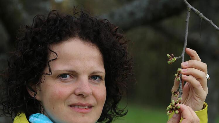 Christine Berner an einem Kirschbaum - die Knospen sind kurz vor dem Aufbrechen.  Foto: Franz Galster