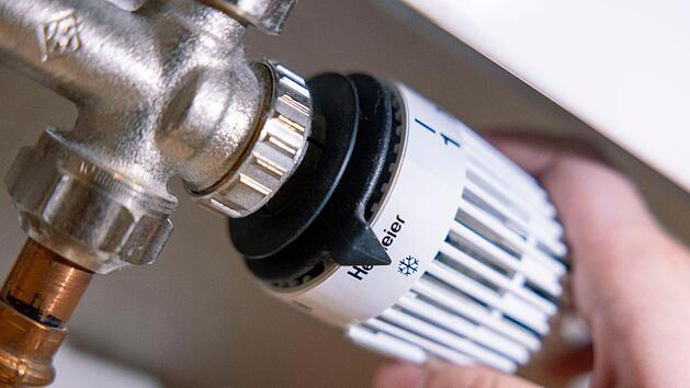 Bei den Heizungen liegt das größte Sparpotenzial.