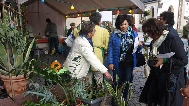 Grün war es beim Gartenbauverein Foto: Susanne Deuerling