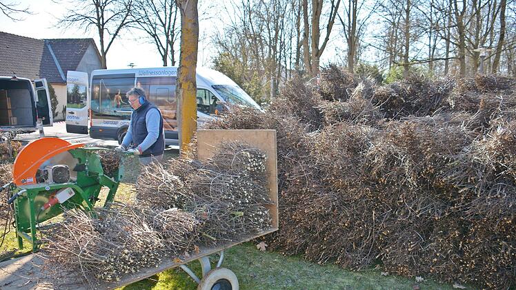 1200 Schwarzdorn-Bündel werden zur Zeit am Gradierpavillon im Kurpark von Bad Königshofen eingesetzt. Foto: Hanns Friedrich