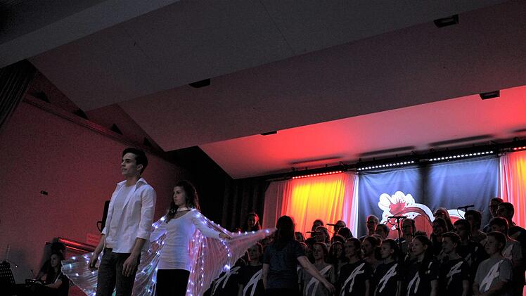 Was die Darsteller im Musical "Herzschlag" in der Ebrachtalhalle Wachenroth auf die Bühne brachte, hat das Publikum überzeugt.  Evi Seeger