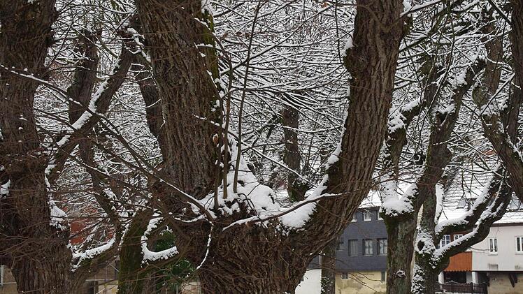Auch die Kronacher Innenstadt wurde in der Nacht zum Sonntag "eingezuckert". Foto: Marco Meißner