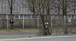 Vorschaubild
