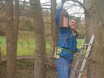 Dieter Fünfstück bringt Nistkästen an einem Baum nahe des Münnerstädter Schwimmbadweges an. Foto: Heike Beudert