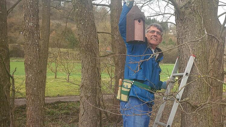 Dieter Fünfstück bringt Nistkästen an einem Baum nahe des Münnerstädter Schwimmbadweges an. Foto: Heike Beudert