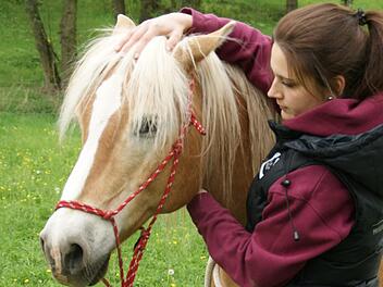 Die Hände sind das wichtigste "Werkzeug", neben einer fundierten Ausbildung, für die Tier-Physiotherapeutin und Osteopathin Lena Bühl aus Eltmann. Das zeigt auch Besuch auf der Koppel von "Nepomuk" in Weisbrunn. Fotos: Sabine Weinbeer