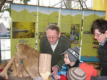 Auf ihren Entdeckungstouren besuchte Kindergartenleiterin Barbara Heindel (rechts) mit ihren Schützlingen auch die Biber-Ausstellung in der Sparkasse. Foto: privat