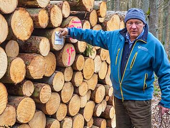 Albert Schrenker zeigt Stämme, die gefällt werden mussten, weil die Fichten vom Borkenkäfer befallen waren. Foto: Rainer Lutz