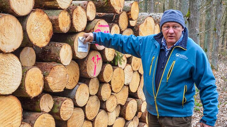Albert Schrenker zeigt Stämme, die gefällt werden mussten, weil die Fichten vom Borkenkäfer befallen waren. Foto: Rainer Lutz