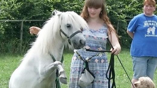 Das Tierheimfest am 27. und 28. Juli am Tierheim Kronach soll wie im Vorjahr ein unterhaltsames Rahmenprogramm erhalten. Interessenten können sich noch dafür anmelden. Foto: Archiv/Maria Löffler