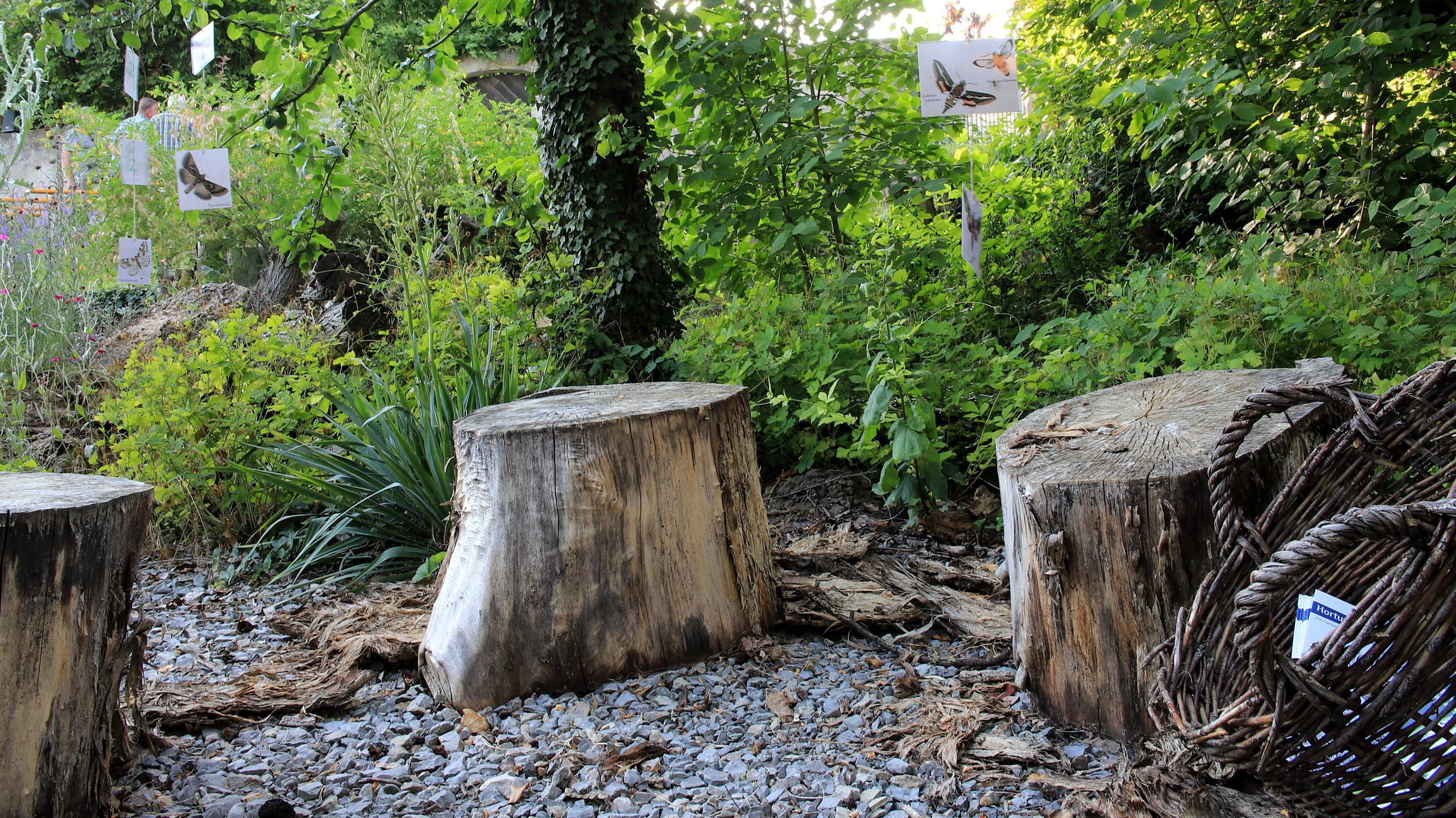 Ein Garten für Nachtschwärmer