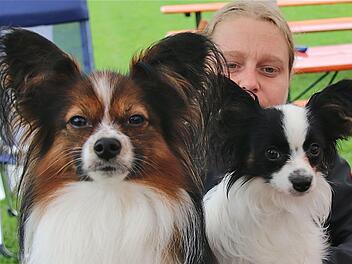 Jaqueline Götz mit "Chester vom Thulbatal" (links) und "Olivia Odessa vom Zwergenhaus". Foto: Gerd Schaar