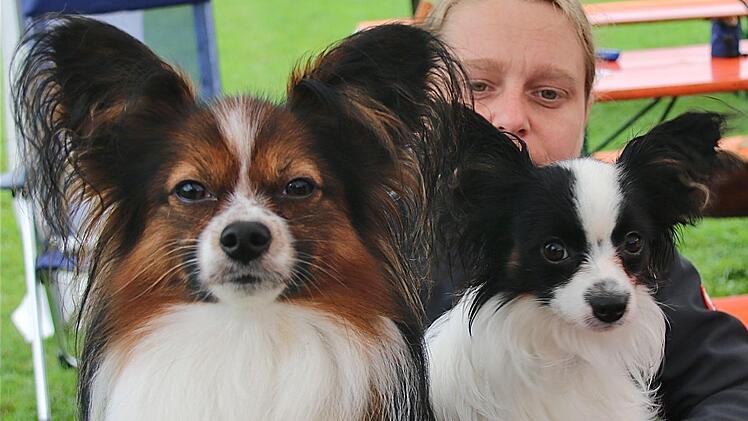 Jaqueline Götz mit "Chester vom Thulbatal" (links) und "Olivia Odessa vom Zwergenhaus". Foto: Gerd Schaar