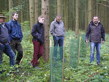 Förster Rainer Bräunig (rechts) plädiert mit einer intensiveren Bejagung für den Schutz gegen den Wildverbiss. Dies erspare auch teure Einzäunung der Jungpflanzen. Foto: Winfried Ehling
