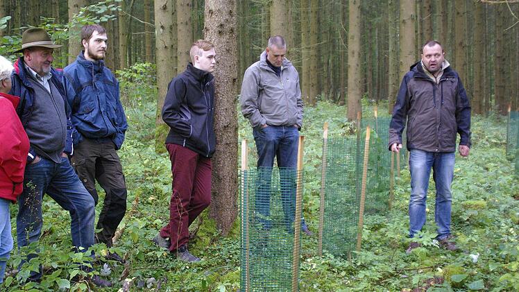 Förster Rainer Bräunig (rechts) plädiert mit einer intensiveren Bejagung für den Schutz gegen den Wildverbiss. Dies erspare auch teure Einzäunung der Jungpflanzen. Foto: Winfried Ehling