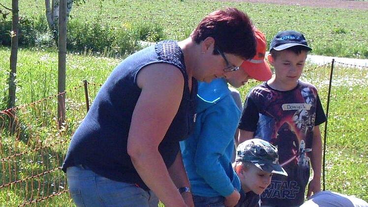 "Den Eierdieb hat keiner lieb!" Den Hühnern auf dem Bauernhof war der Besuch nicht ganz so sympathisch. Foto: Klaus Scheuring