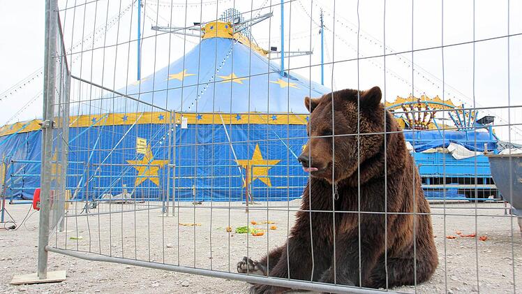 Schaut süß aus, ...