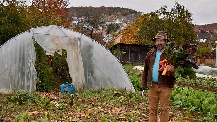 DSC 1122 - Auf dem Naturlandhof der Familie Pfülb in Fuchsstadt: Hans Pfülb hat soeben Mangold geschnitten. Im Gewächshaus hinter ihm tragen die Tomaten noch Früchte.