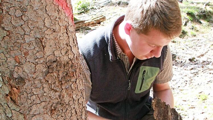 Förster Stefan Blumrich will zusammen mit Kollegen erklären, wie Waldbesitzer erkennen, ob sie ein Borkenkäfer-Problem haben. Wie geht man mit dem Holz um?  Fotos: Carmen Schmitt