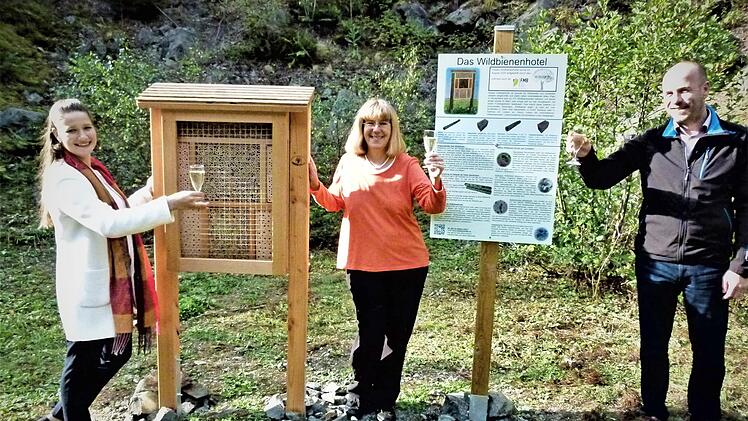 Sie freuten sich über ein gelungenes Projekt der ILE "Fränkisches Markgrafen- und Bischofsland" von links ILE-Managerin Annabelle Ohla, Vorsitzende Stefanie Schmidt und Bürgermeister Jochen Trier.Foto: Werner Reißaus