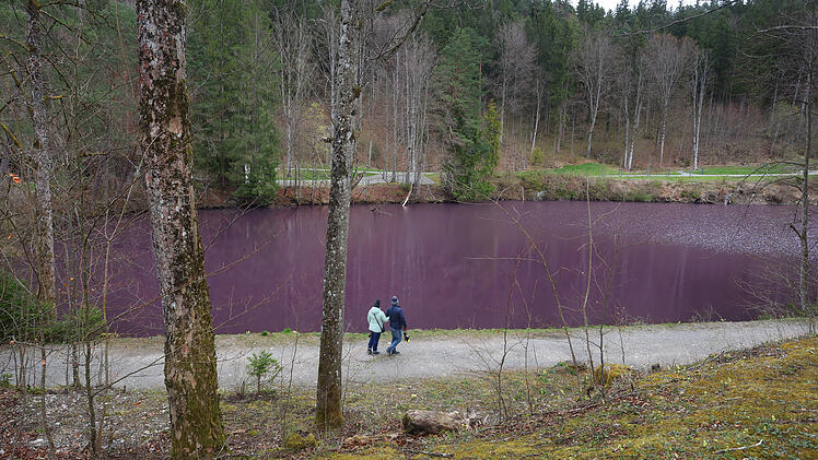Bakterien f&auml;rben Gipsbruchweiher bei F&uuml;ssen lila
