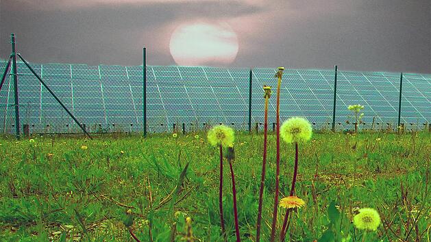 Der Solarpark im Bebauungsplangebiet "Westlich der KG 8" darf nun doch erweitert werden. Die Firma bos.ten bekam vom Gemeinderat Genehmigung, innerhalb der Anlage zus&auml;tzliche Solarmodule zu installieren.  Foto: Dieter Britz