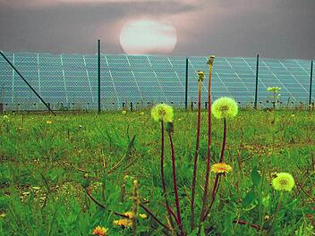 Der Solarpark im Bebauungsplangebiet "Westlich der KG 8" darf nun doch erweitert werden. Die Firma bos.ten bekam vom Gemeinderat Genehmigung, innerhalb der Anlage zusätzliche Solarmodule zu installieren.  Foto: Dieter Britz
