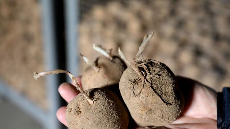 Extremhitze und Landwirtschaft