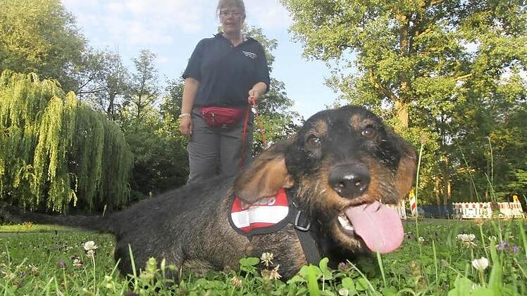 Wenn Caruso den Geruch aufgenommen hat, geht es nur noch darum, zusammen mit Elke Hartmann den Vermissten zu finden.  Fotos: Michael Busch