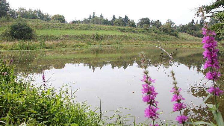 Ein Weiher nahe dem Dohnwald.