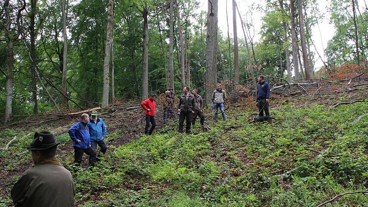 Waldbegang in Sulzthal Foto: Hilmar Ruppert