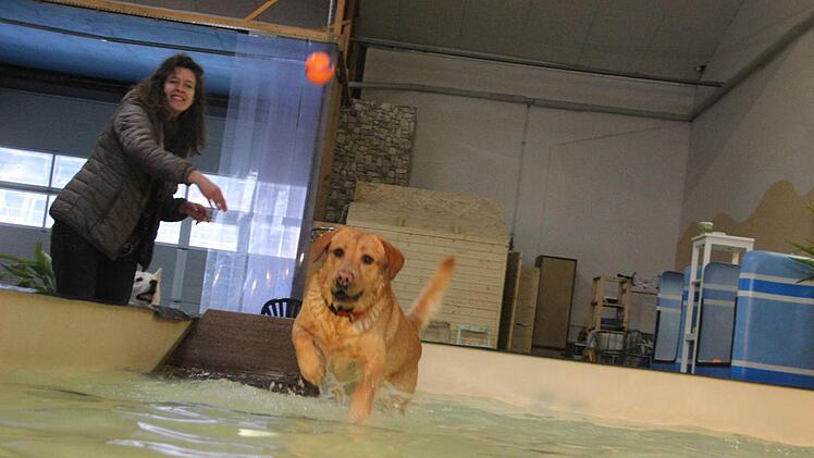 Sam hat sichtlich Spaß im Wasser.  Foto: Diana Fuchs