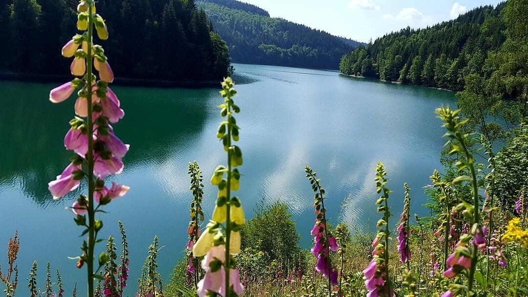 Die schönsten Fotos im Juni aus Kronach und Umgebung