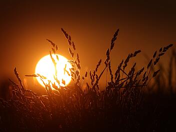 Sommerliches Wetter