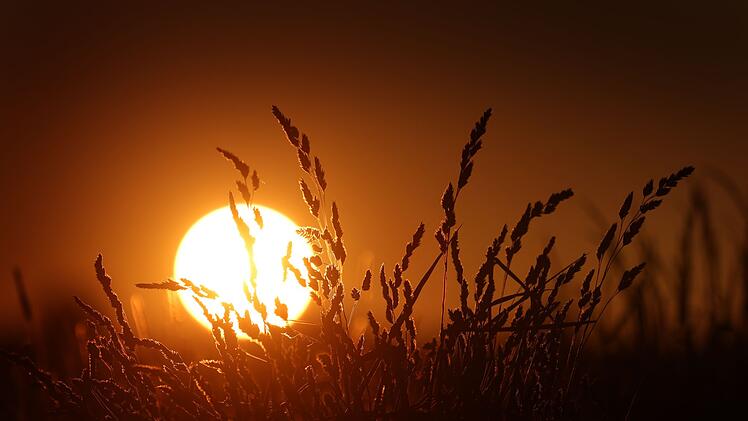 Sommerliches Wetter