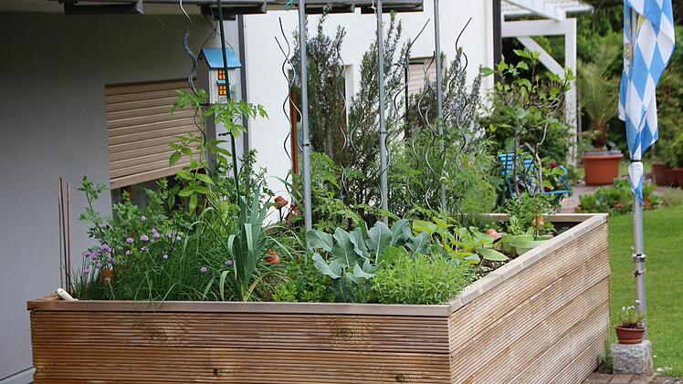 Eindrücke aus dem Garten von Susi Vorndran. Foto: Benedikt Borst