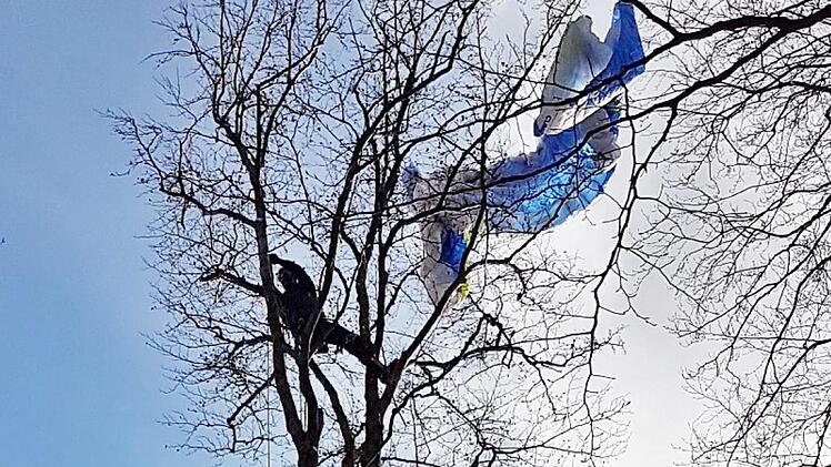 Hier hängt der Verunglückte samt Schirm in der Baumkrone. Foto: Oliver Scheuplein