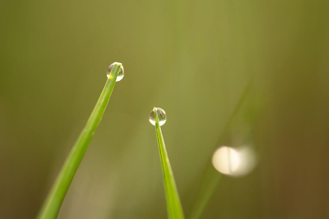 Meteorologischer Herbstanfang