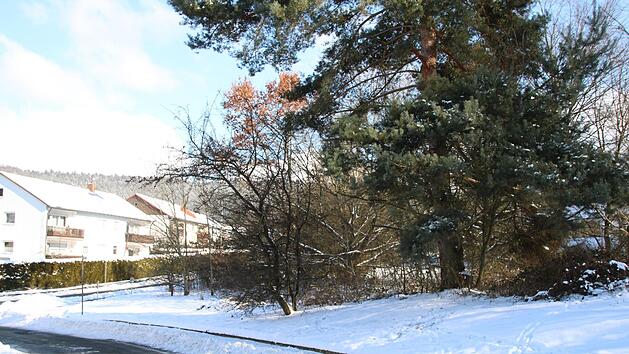 In der Hannes-Strehly-Stra&szlig;e ist der Bau von zwei Mehrfamilienh&auml;usern vorgesehen.