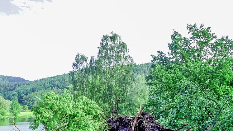 So sah es im Juni 2021 auf dem Seegelände aus, nachdem ein Sturm im Landkreis gewütet und auch im Bereich Trebgast Bäume "gefällt" hatte.