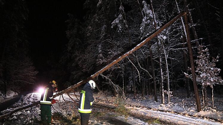 Foto: News5/Merzbach