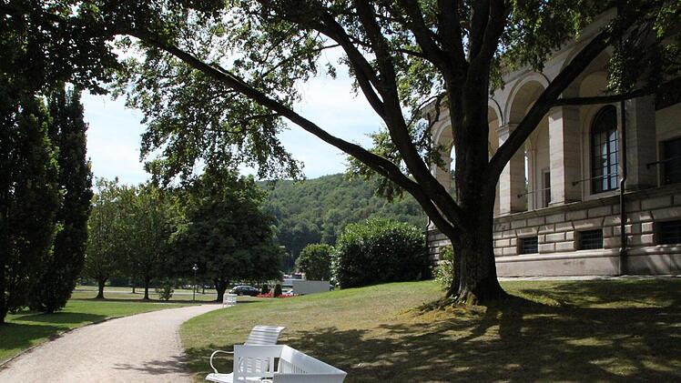 So schön sah die Buche noch im Sommer aus... Foto: Archiv/Ulrike Müller